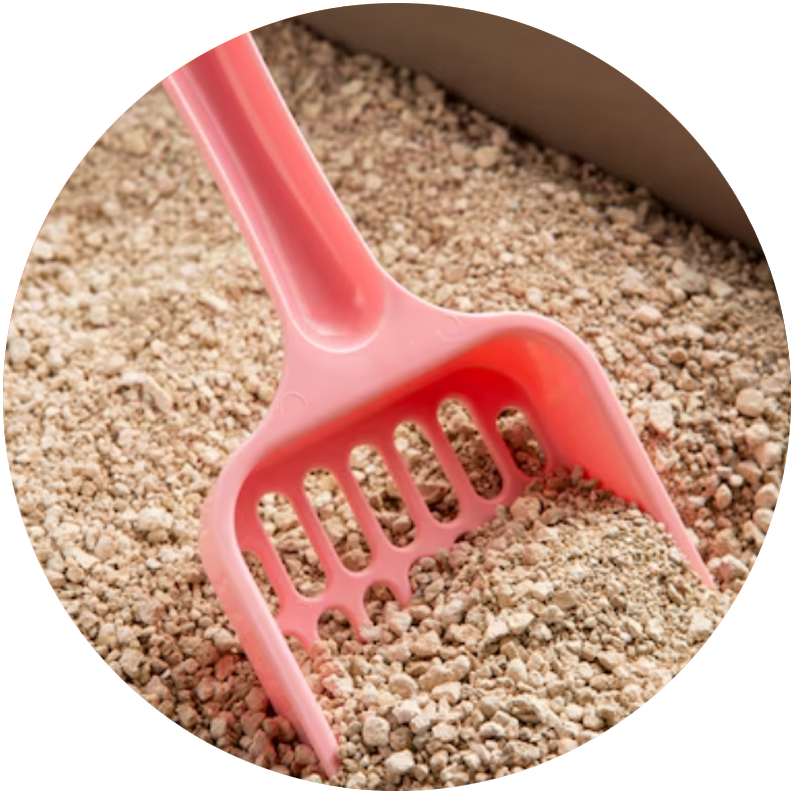 cat litter selection